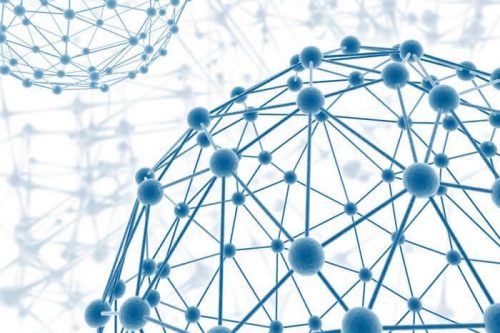 마음 이론은 구성주의 학파에서 나온다