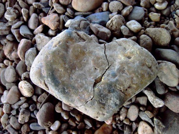 하트 모양의 돌