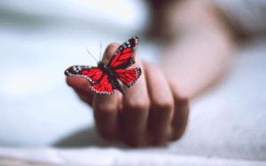 우울증 극복: 도움이 되는 책 7 가지