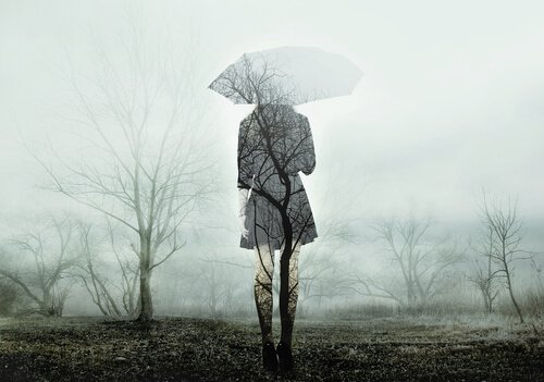 가을 기분 변화 호르몬
