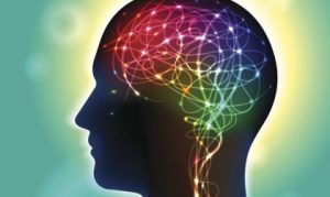 아난다미드는 무엇인가: 행복의 화합물