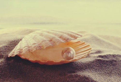 사랑에 관한 페르시아 격언 03