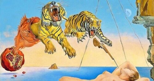 꿈을 기억하는 사람들: 선별적인 기억 01