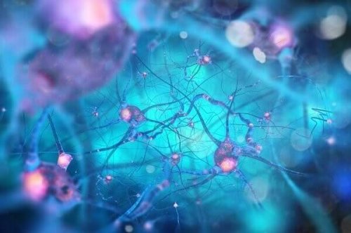 신경 세포 끼리는 시냅스에서 신경 전달 물질을 주고 받는다 