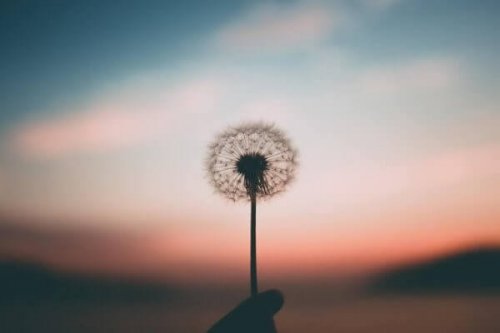 욕망을 불어넣어 주는 희망 01