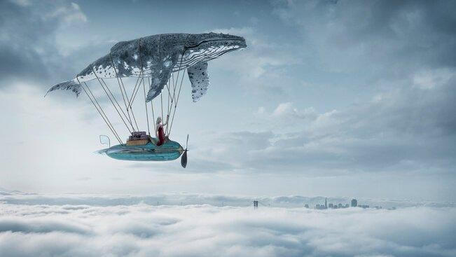꿈꾸게 해줄 이야기 01