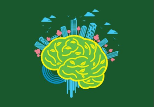 두뇌 신경 구조: 두뇌에 끼치는 환경의 힘