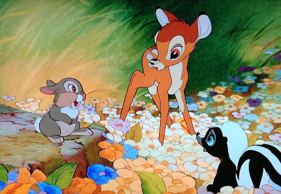 9. 밤비(Bambi)
