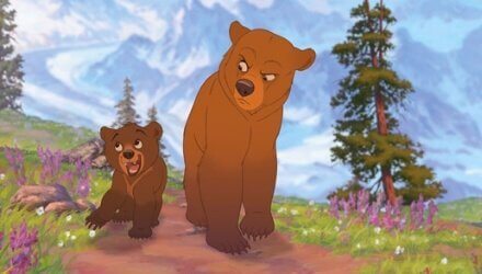 two bears in the forest