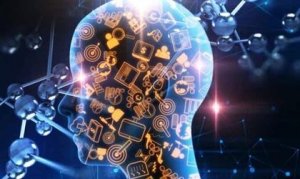 스위스 아미 나이프 이론: 정신의 모듈방식