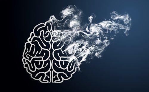 니코틴 담배 연기 속에 망가지는 뇌