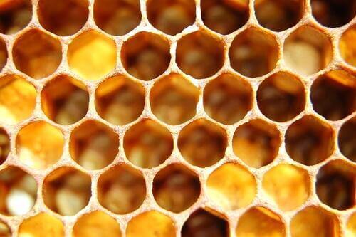 환 공포증: 증상과 원인 및 치료