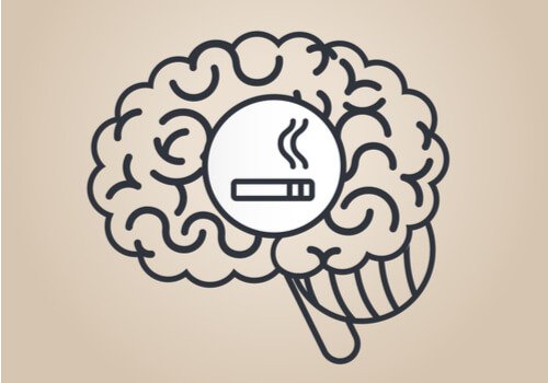 니코틴이 두뇌에 영향을 미치는 방법