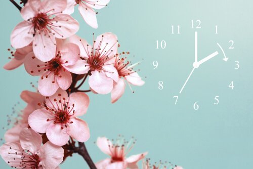 시간 변경이 몸에 미치는 영향
