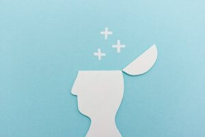 스턴버그의 삼원지능이론