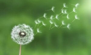 스트레스 관리를 위한 최소 노력의 법칙