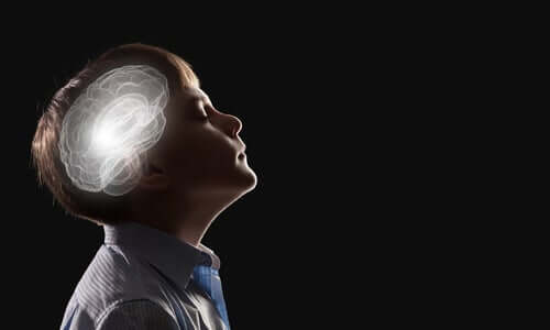 직관 신경생물학 - 생각하는 아이와 두뇌 모습