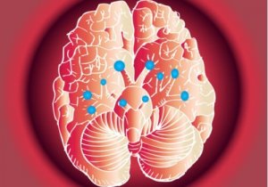 뇌 신경: 놀라운 기능과 작동 방법