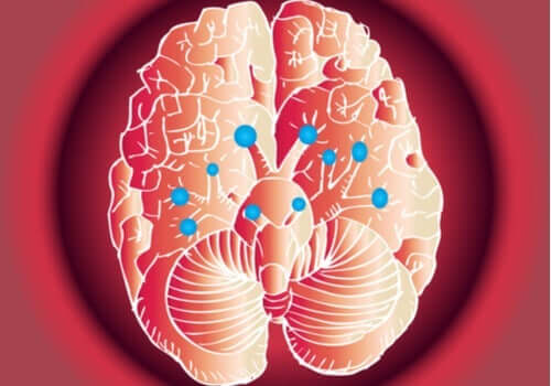뇌 신경: 놀라운 기능과 작동 방법