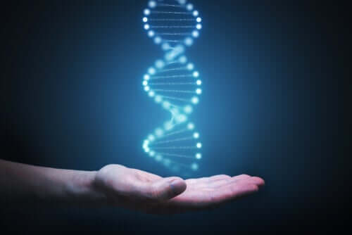 dna