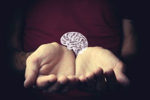 차등 역학: 정신과 수명의 관계