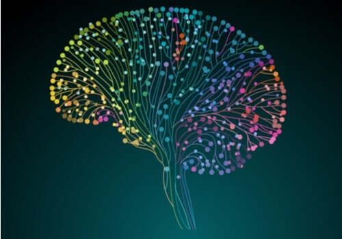 인간 커넥톰 프로젝트: 뇌를 이해하기 위한 연구