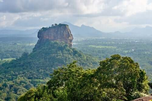 로널드 데이비드 랭의 유산