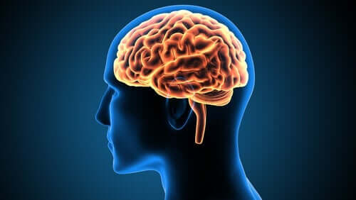 빅터 레보른의 뇌: 신경과학의 사례