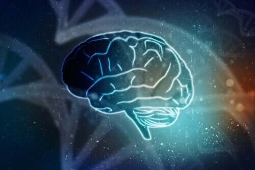고립된 뇌가 스스로 생명을 가질 수 있을까?