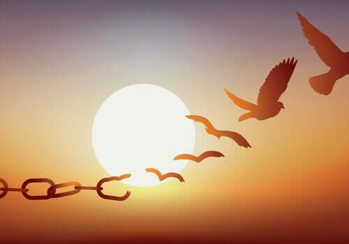 보석의 목적은 무엇인가?