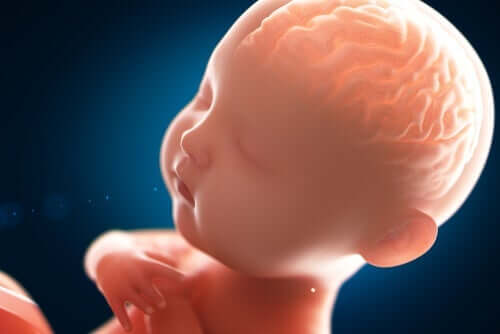아기의 정신: 신생아의 내면에 관한 연구