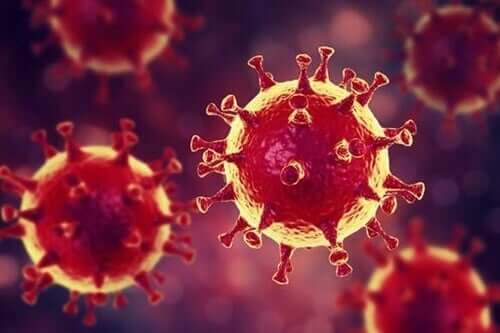 코로나바이러스에 대한 심리학적 조언: 공황 상태를 방지하는 해독제