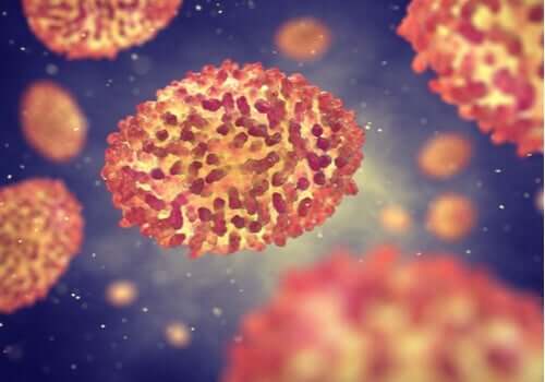 질병의 증상: 바이러스가 퍼지는 방법