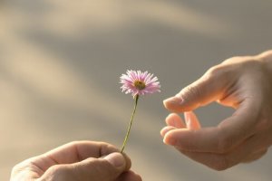 심리학적 관점에서 본 관대함