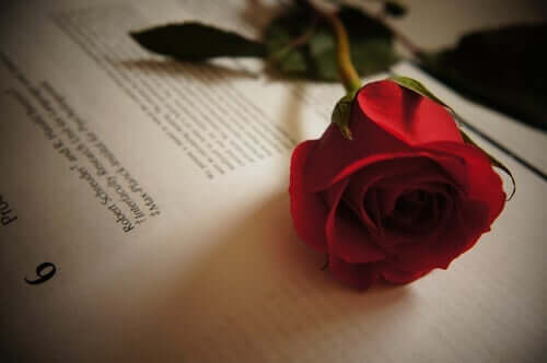 티르소 데 몰리나의 사랑에 관한 인용문 5가지