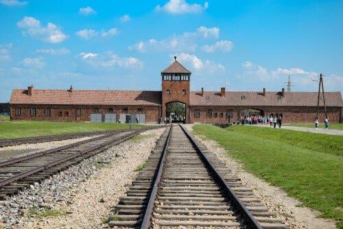 하임 페스터: 죽음을 모면한 남자: 비극과 희망