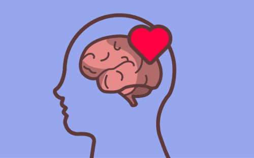 마음과 뇌: 감정 이해