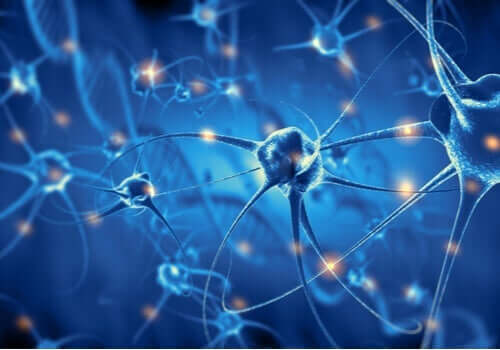 뇌 신경 세포