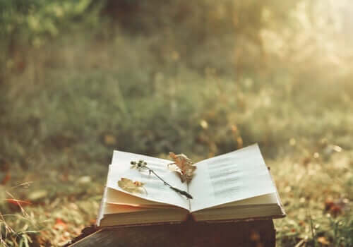 시는 마음의 고통을 어떻게 덜어주는가