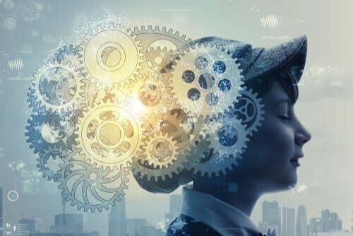 뇌 가소성 및 그 특성