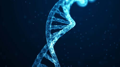 유전자 변화 신경 가소성