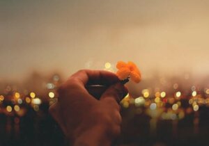 빅터 프랭클이 말하는 사랑, 삶의 의미와 용기