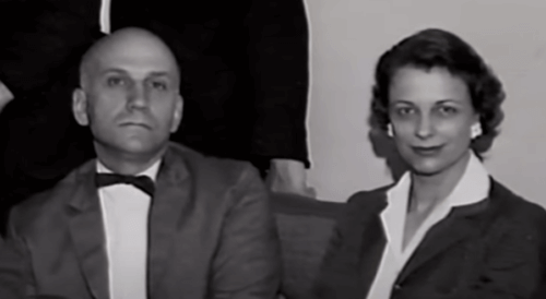 심리학자-정신과 의사 다이애드