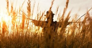 문제 해결을 위한 스트로맨 제안