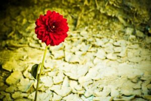 감정 회복력이 좋은 강한 성격의 생활 태도