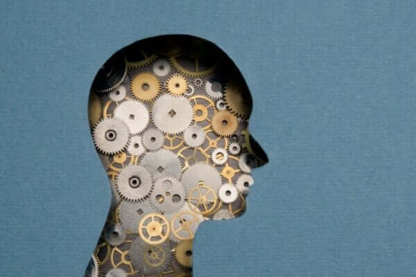 포렌식 신경 심리학: 정의, 목적 그리고 적용