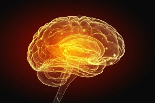 뇌를 변화시키는 이기적인 행동과 이타적인 행동