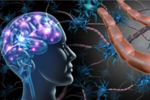 다발성 경화증과 ALS의 차이점
