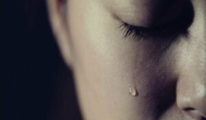 셸러의 고통의 의미 이론