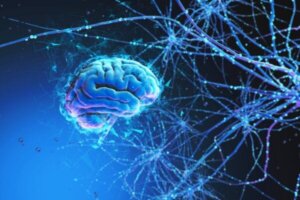 많은 기능을 공유하는 뇌와 우주